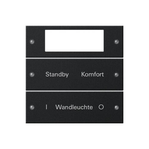 2212005 Gira Wippenset 2f Plus beschr. System 55 Schwarz m(lack.) Produktbild Front View L