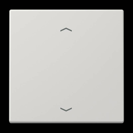 LS1700PLG Jung Steuertaste Standard -Pfeile Produktbild front M