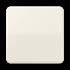 CD1700 Jung Steuertaste Standard Produktbild front M