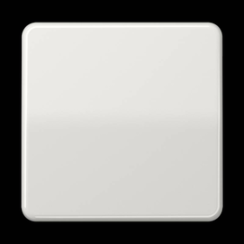 CD1700LG Jung Steuertaste Standard Produktbild front M