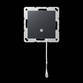 A506BFNUZANM Jung Zug-Wechselschalter Produktbild front M