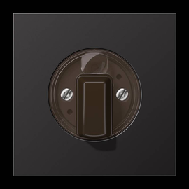 AL1941D Jung Abdeckung f. Drehschalter Produktbild front M