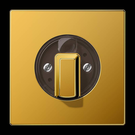 GO1941 Jung Abdeckung f. Drehschalter Produktbild front M