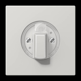 LS1941LG Jung Abdeckung f. Drehschalter Produktbild front M
