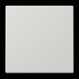 LS1700LG Jung Steuertaste Standard Produktbild front M