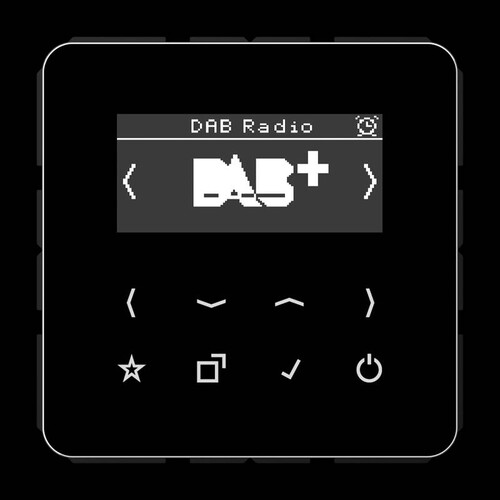 DABCDSW Jung Smart Radio DAB+ Produktbild Front View L
