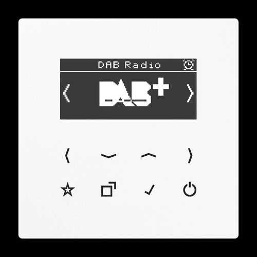 DABLSWW Jung Smart Radio DAB+ Produktbild Front View L