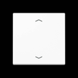 A1700BFPWW Jung Steuertaste Standard -Pfeile Produktbild front S