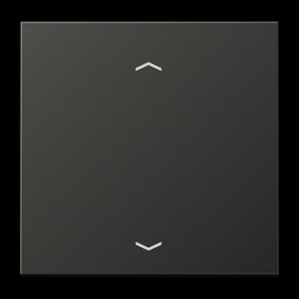 AL1700PAN Jung Steuertaste Standard -Pfeile Produktbild front M