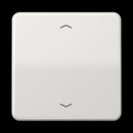 CD1700PLG Jung Steuertaste Standard -Pfeile Produktbild front M