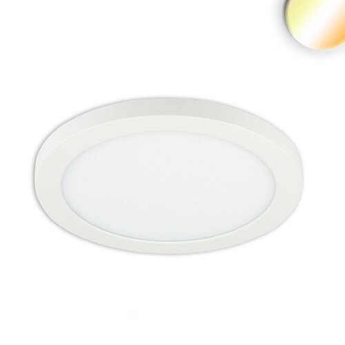 114023 Isoled Slim Flex 12W COLORSWITCH 3000/3500/4000K LED Leuchte Produktbild