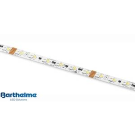 50009134 Barthelme LED Streifen LEDLIGHT FLEX 16 10 RGBW HIGH EFFICIENCY 10cm 24 Produktbild front M