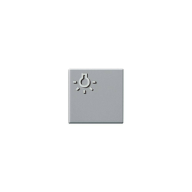 200029098-00 Siedle Licht Taste m. Lichtsymbol TLM 611/612 01 SM, silber-m Produktbild front M