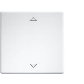 30000981 Eltako W FT55 wg+2P Wippen lasergraviert für Taster und Schalter 5 Produktbild front M