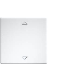 30000982 Eltako W FT55 rw+2P Wippen lasergraviert für Taster und Schalter 5 Produktbild front M