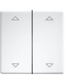 30000985 Eltako DW FT55 wg+2P Doppelwippen lasergraviert für Taster u Produktbild front M