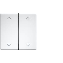 30000986 Eltako DW FT55 rw+2P Doppelwippen lasergraviert für Taster u Produktbild front M