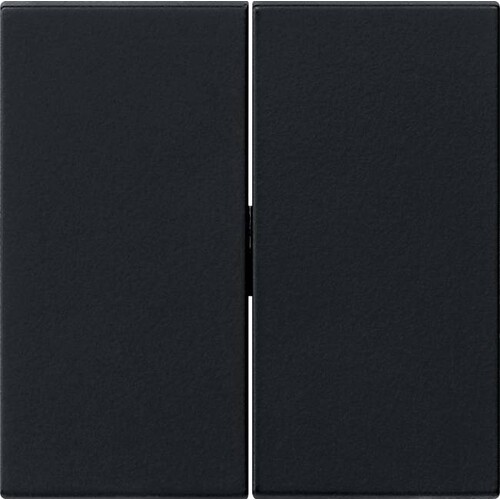 0915005 Gira Wippe 2f Tastschalter System 55 Schwarz m Produktbild Front View L