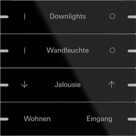 503405 Gira Wippenset 4f indiv. Tastsens.4 TS4 G Schwarz Produktbild