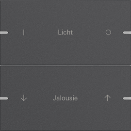 5032928 Gira Wippenset 2f indiv. Tastsens.4 TS4 Anthrazit(lack.) Produktbild front M