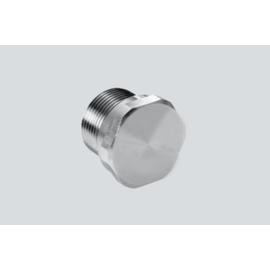 255191 R.Stahl Verschlussstopfen NPT2 Edelstahl Produktbild