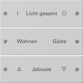 2203015 Gira Wippenset 3f beschr. System 55 Grau m(lack.) Produktbild front M