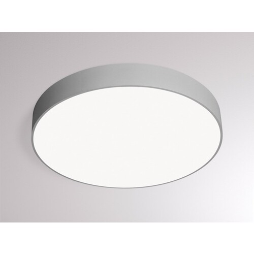 445-024019180 Molto Luce Bado PDI LED Produktbild