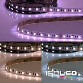 FIAI Isoled LED SIL RGB+W+WW Produktbild