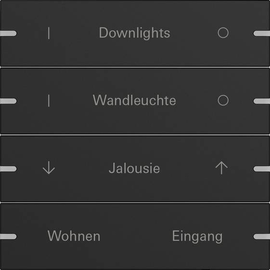 5034905 Gira Wippenset 4f indiv. Tastsens.4 TS4 Schwarz m(lack.) Produktbild