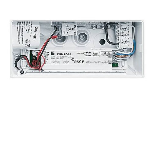 42186006 Zumtobel ERGOSIGN 80 P MSW E1D WH IP54 Sicherheitszeichenleuchte Produktbild