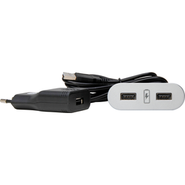 939736012 Kopp VersaPICK, USB Einbauset mit 2 USB Anschlüssen, Ausführung: oval Produktbild