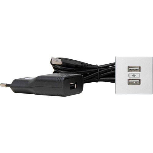 939726015 Kopp VersaPICK, USB Einbauset mit 2 USB Anschlüssen, Ausführung: quad Produktbild Front View L