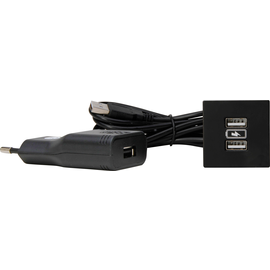 939727016 Kopp VersaPICK, USB Einbauset mit 2 USB Anschlüssen, Ausführung: quad Produktbild
