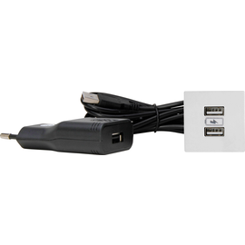 939725014 Kopp VersaPICK, USB Einbauset mit 2 USB Anschlüssen, Ausführung: quad Produktbild