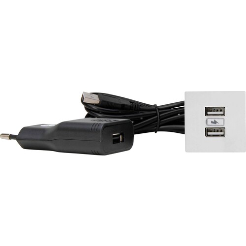 939725014 Kopp VersaPICK, USB Einbauset mit 2 USB Anschlüssen, Ausführung: quad Produktbild Front View L