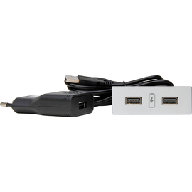 939731017 Kopp VersaPICK, USB Einbauset mit 2 USB Anschlüssen, Ausführung: rech Produktbild