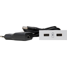 939730016 Kopp VersaPICK, USB Einbauset mit 2 USB Anschlüssen, Ausführung: rech Produktbild