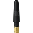 PR1CS450 Teltonika 4G/LTE gerade Kompakt Antenne, 5dBi Produktbild