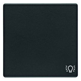 16206046 Berker BERKER Q.x Wippe mit Aufdruck Symbol Licht anthrazit samt Produktbild
