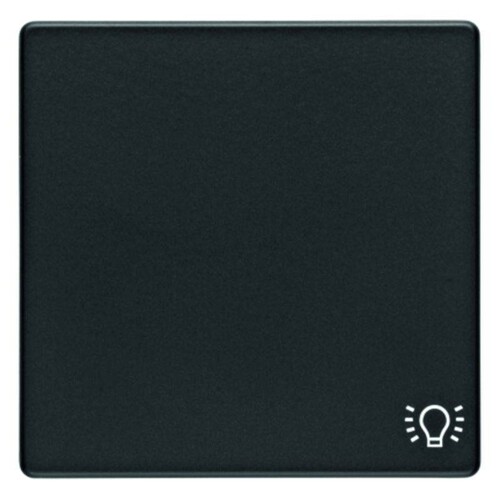 16206046 Berker BERKER Q.x Wippe mit Aufdruck Symbol Licht anthrazit samt Produktbild