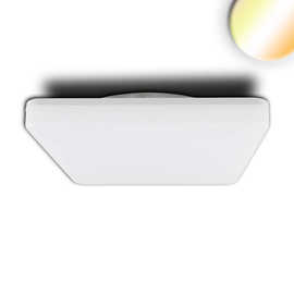 114152 Isoled LED Decken/Wandleuchte 24W, quadratisch, IP54, ColorSwitch 300 Produktbild