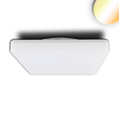 114152 Isoled LED Decken/Wandleuchte 24W, quadratisch, IP54, ColorSwitch 300 Produktbild