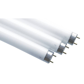 67156 Scharnberger+H. Leuchtstofflampe T8 26x1200mm G13 36W/965 2300Lm 6500K A Produktbild