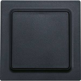 30055676 Eltako F2T55EB am Funk 2 Kanal Taster mit Batterie anthrazit matt E-De Produktbild front M