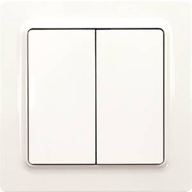 30055752 Eltako W2T55E pg Wipptaster mit Doppelwippe, polarweiß glänzend E-Desig Produktbild front M