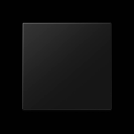 A1700BFSWM Jung Steuertaste Standard, Serie A graphitschwarz matt Produktbild front M