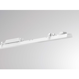 715-0701230019000 Molto Luce LOG 50 EINSATZ LICHTEINSATZ weiß LED Produktbild