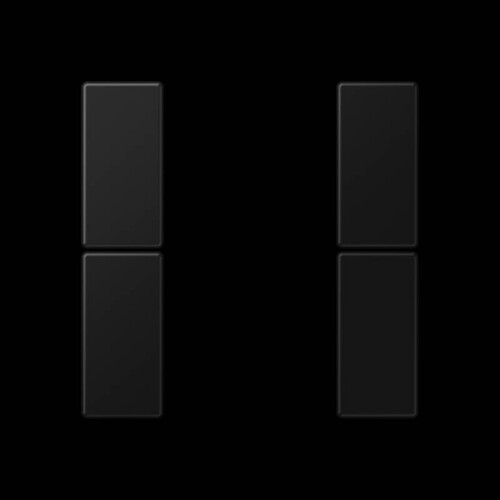 A502TSASWM Jung Tastensatz komplett 2fach graphitschwarz matt Produktbild