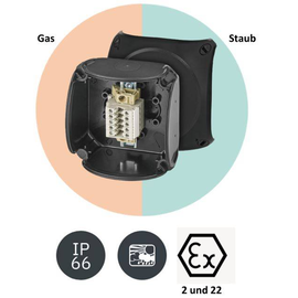 13529000 Hensel RX 0205 T Klemmkasten ATEX 2-22, 5pol bis 4 qm 0,5-4mm², IP66 Produktbild front M