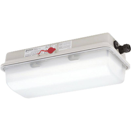 85600 0003 Schuch SCHUCH EX-Polyester Wannenleuchte LED e856F L10/1/1 6 1060  Produktbild